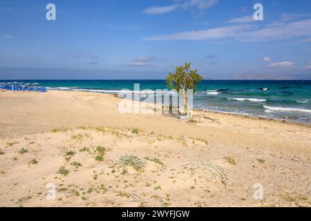 Splendida spiaggia di Marmari con sabbia dorata e acque color smeraldo. Isola di Kos, Grecia Foto Stock