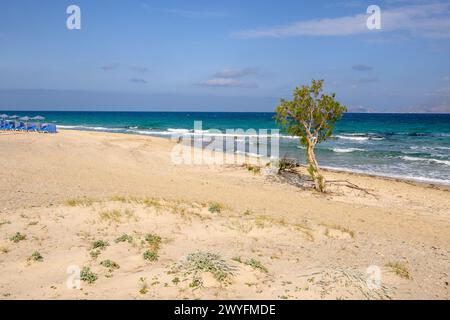 Splendida spiaggia di Marmari con sabbia dorata e acque color smeraldo. Isola di Kos, Grecia Foto Stock