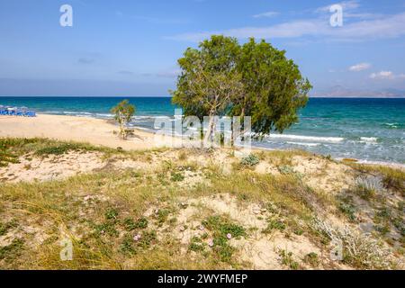 Splendida spiaggia di Marmari con sabbia dorata e acque color smeraldo. Isola di Kos, Grecia Foto Stock