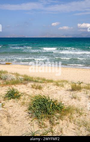 Splendida spiaggia di Marmari con sabbia dorata e acque color smeraldo. Isola di Kos, Grecia Foto Stock