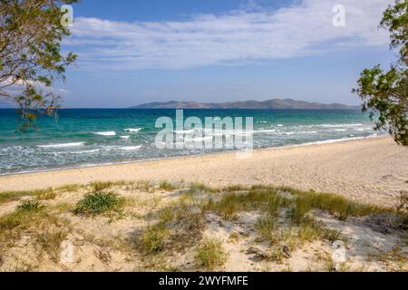 Splendida spiaggia di Marmari con sabbia dorata e acque color smeraldo. Isola di Kos, Grecia Foto Stock