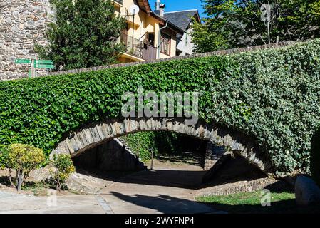 Case tipiche e il ponte romanico sul fiume Noguera Pallaresa del villaggio rustico di Esterri Aneu, Lleida, Catalogna, Spagna Foto Stock