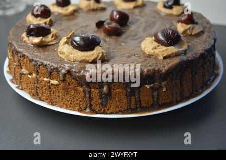 Cucina, torte fatte in casa, deliziosi dolciumi. La torta di spugne al cioccolato "Drunken Cherry" si trova su una rete metallica. Foto Stock