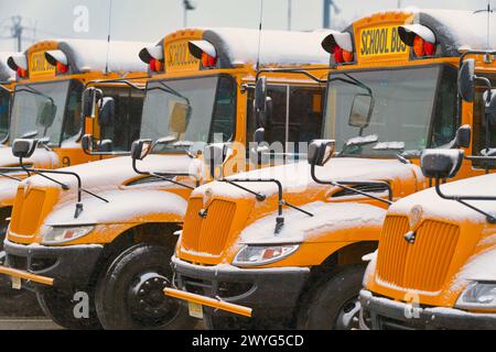 Vista ravvicinata degli autobus scolastici coperti di neve, New Jersey, Stati Uniti Foto Stock