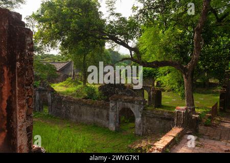 Garden in the Forbidden Purple city complex in Hue in Vietnam in South East Asia Foto Stock
