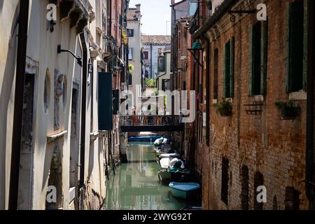 Venezia, Italia - 14 agosto 2023: Canale panoramico con ponte e vecchi edifici con piante in vaso a Venezia, Italia Foto Stock