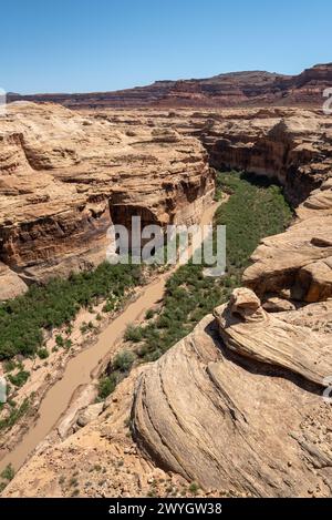 Canyon del Dirty Devil River che era stato innondato dal Powell Reservoir, Utah. Foto Stock