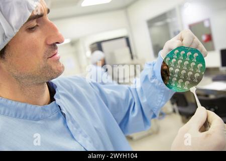 Osservando wafer di silicio sistema PECVD per la deposizione di strati di passivazione nitruro di silicio su wafer a caricamento aperto plasma Etch and Deposition Tool unità di microelettronica e microsistemi CEIT Centro di studi e ricerca tecnica Università di Navarra, Donostia, Gipuzkoa, Paesi Baschi, Spagna. Foto Stock