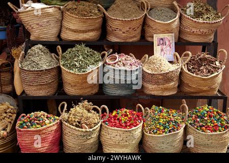 Herboristeria, Medina de Marrakech, Alto Atlante, Marocco. Foto Stock