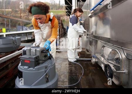 Ricercatori Azti-Tecnalia che raccolgono campioni d'acqua per l'analisi, lavatrice per scatole, mercato all'ingrosso di frutta e verdura Mercabilbao, Basauri, Bilbao, Bizkaia, Euskadi, Spagna. Foto Stock