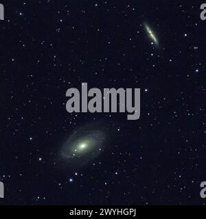 Die Galaxien M81 und M82 - Bodes Galaxie im Sternbild Großer Bär / Großer Wagen. Bodes Galaxie ist eine 7,0 mag helle Spiralgalaxie vom Hubble-Typ SB im Sternbild Großer Bär am Nordsternhimmel. Die scheinbare Fläche von M81 beträgt mit 25² mal 12² weniger als der Vollmond scheinbarer Durchmesser rund 30². Verglichen mit dem Andromedanebel M31 erscheint M81 mit etwa einem Dreißigstel von dessen Fläche merklich kleiner und ist etwa viermal weiter entfernt, rund 12 Millionen Lichtjahre. Bodes Galaxie - Messier 81 *** le galassie M81 e M82 Bodes Galaxy nella costellazione Big Dipper Big Dipper Foto Stock