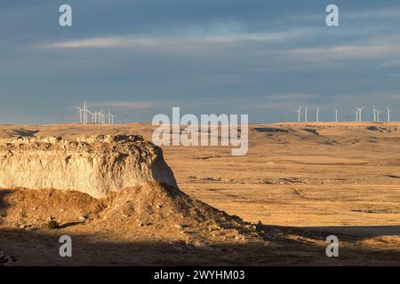 Le turbine eoliche generano energia elettrica nelle praterie nazionali, nelle alte pianure del Colorado nord-orientale. Foto Stock