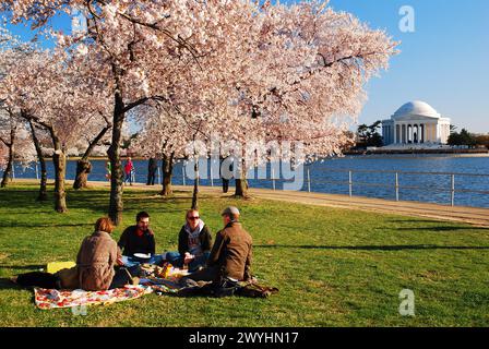 Gli amici si godranno un pranzo al sacco sotto i fiori di ciliegio in una giornata primaverile a Washington DC Foto Stock