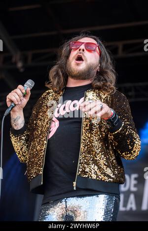 L'artista belga Romano Nervoso vive a Bruxelles | Fete de la musique dans le Parc du Cinquantenaire. Romano Nervoso le chanteur belge en Concert Foto Stock