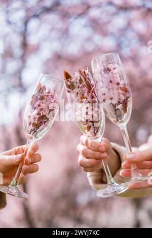 Tre mani femminili tengono gli occhiali con fiori rosa primaverile del ciliegio. Ciao Foto Stock