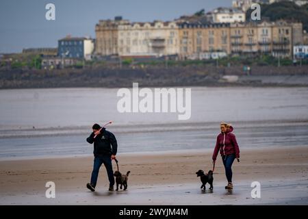 Gli amanti dei cani sulla spiaggia di Weston-super-Mare nel Somerset, dove venti forti e cieli tempestosi stanno influenzando parti della costa. Data foto: Domenica 7 aprile 2024. Foto Stock