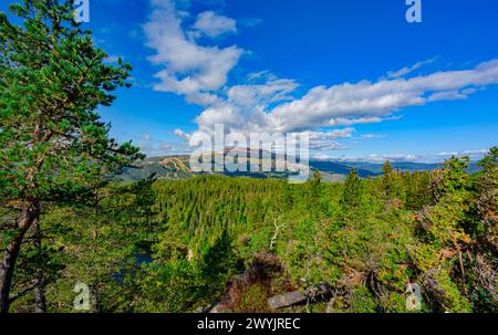 Norvegia, Buskerud, Noresund, riserva naturale di Knipetjennasen Foto Stock