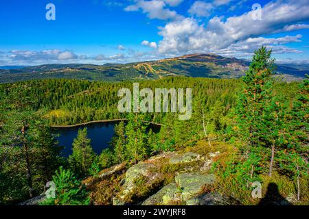 Norvegia, Buskerud, Noresund, riserva naturale di Knipetjennasen Foto Stock