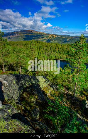 Norvegia, Buskerud, Noresund, riserva naturale di Knipetjennasen Foto Stock