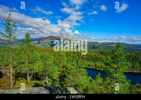 Norvegia, Buskerud, Noresund, riserva naturale di Knipetjennasen Foto Stock