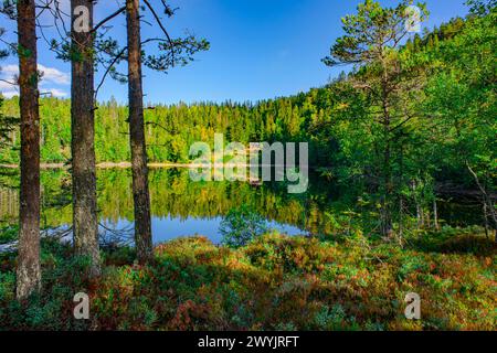 Norvegia, Buskerud, Noresund, riserva naturale di Knipetjennasen, lago Sundesetertjern Foto Stock