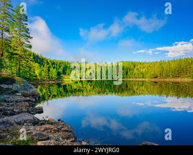 Norvegia, Buskerud, Noresund, riserva naturale di Knipetjennasen, lago Sundesetertjern Foto Stock