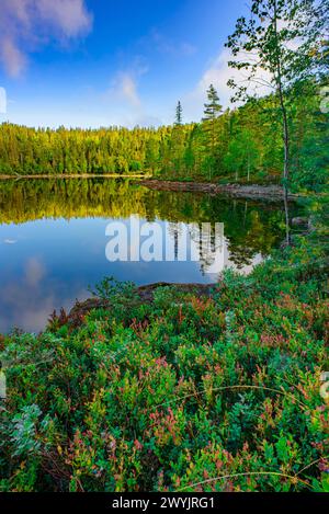 Norvegia, Buskerud, Noresund, riserva naturale di Knipetjennasen, lago Sundesetertjern Foto Stock