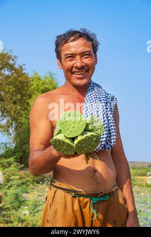 Cambogia, Kampong Cham, coltivazione di fiori di loto, raccolta di semi Foto Stock
