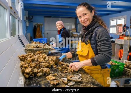 Francia, Charente Maritime, Chatelaillon, Florence Gaté, ostriche Foto Stock