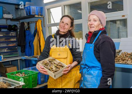 Francia, Charente Maritime, Chatelaillon, Florence Gaté, ostriche Foto Stock