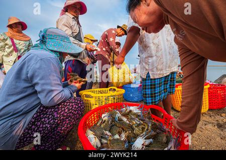 Cambogia, provincia del KEP, searesort del KEP, il mercato dei granchi Foto Stock