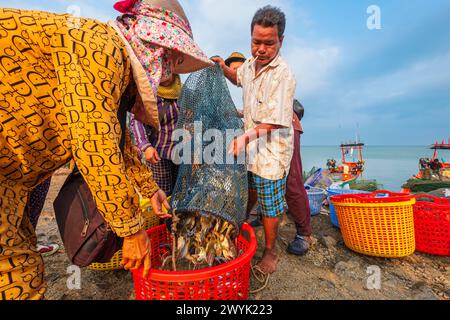 Cambogia, provincia del KEP, searesort del KEP, il mercato dei granchi Foto Stock