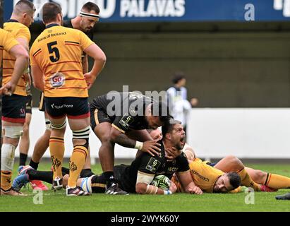 Montpellier, Francia. 7 aprile 2024. © PHOTOPQR/LE MIDI LIBRE/JEAN MICHEL MART ; MONTPELLIER ; 07/04/2024 ; MONTPELLIER/GGL STADIUM/RUGBY CHALLENGE CUP MONTPELLIER MHR/ULSTER LE 07 04 2024 /ESSAI DE WILLEMSE RUGBY CHALLENGE CUP IL 7 APRILE 2024 LE 07 04 2024 CREDITI: MAXPPP/ALAMY LIVE NEWS Foto Stock