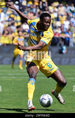 Frosinone, Italia. 7 aprile 2024. Demba Seck di Frosinone durante la partita di serie A tra il Frosinone calcio e il Bologna FC allo stadio Benito stirpe di Frosinone (Italia), 7 aprile 2024. Crediti: Insidefoto di andrea staccioli/Alamy Live News Foto Stock