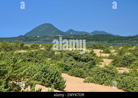 Bellissimo paesaggio con natura. Concetto per viaggi e vacanze estive. Grecia-isola di Corfù. Laguna di Korission Foto Stock