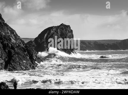 Enormi frangiflutti nel mare burrascoso di Kynance Cove sulla penisola di Lizard, in Cornovaglia. Con la cosiddetta roccia del Leone in lontananza. Immagine monocromatica. Foto Stock