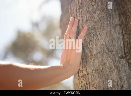 la mano femminile tocca delicatamente la corteccia del vecchio olivo. abbracciare l'aria fresca e dedicarsi alle attività all'aperto. Friluftsliv Concept significa passare il più tempo possibile all'aperto Foto Stock