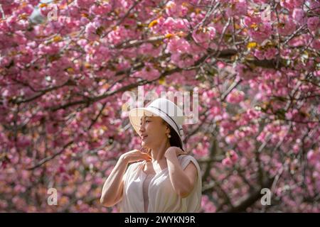 Londra, Regno Unito. 7 aprile 2024. Meteo nel Regno Unito: I visitatori potranno ammirare la prima fioritura della vivace fioritura dei ciliegi nel Greenwich Park durante una domenica pomeriggio calda ma ventosa. Crediti: Guy Corbishley/Alamy Live News Foto Stock