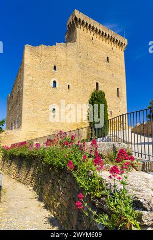 Rovine del castello di Chateauneuf-du-Pape, Cotes du Rhone, Francia Foto Stock