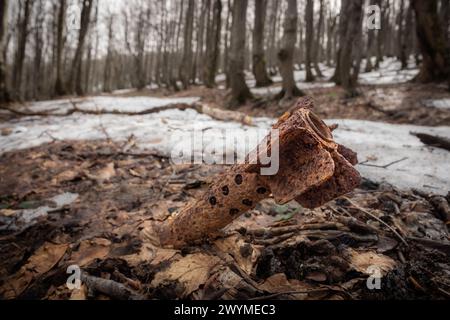 Ordigni inesplosi UXO - stabilizzatore di coda da una bomba mortaio sovietica della seconda guerra mondiale Si trova nelle foreste dei Carpazi orientali in Polonia Foto Stock