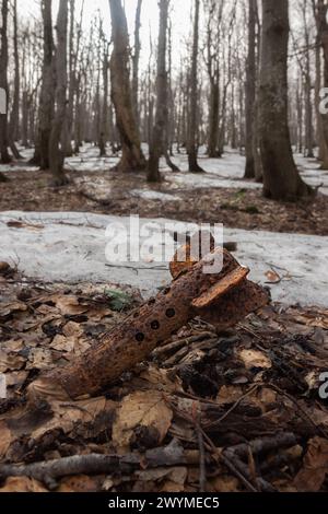 Ordigni inesplosi UXO - stabilizzatore di coda da una bomba mortaio sovietica della seconda guerra mondiale Si trova nelle foreste dei Carpazi orientali in Polonia Foto Stock