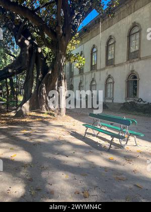 Lisbona, Portogallo, giardino botanico, zona Principe Real, stazione della metropolitana Avenida, piante esotiche, panca in legno, Museo Nazionale della Scienza e della storia naturale Foto Stock