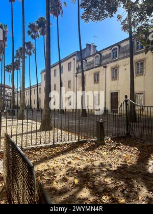 Lisbona, Portogallo, giardino botanico, zona Principe Real, stazione della metropolitana Avenida, piante esotiche, panca in legno, Museo Nazionale della Scienza e della storia naturale Foto Stock