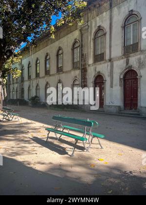 Lisbona, Portogallo, giardino botanico, zona Principe Real, stazione della metropolitana Avenida, piante esotiche, panca in legno, Museo Nazionale della Scienza e della storia naturale Foto Stock