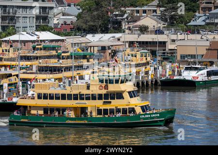 Il traghetto di Sydney, MV Golden Grove, un traghetto di prima classe per la flotta varato nel 1985, passa davanti al Balmain Shipyard, dove vengono mantenuti altri traghetti di Sydney. Foto Stock