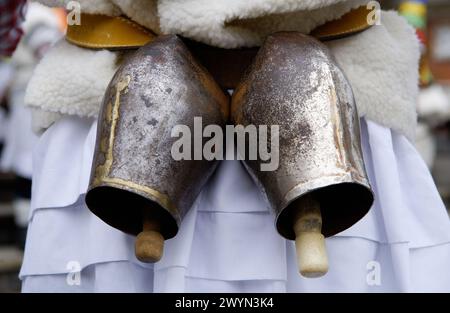 Zanpanzar, Joaldunak Txuntxurros e. Replica di Ituren e Zubieta carnevali. Navarra. Spagna. Foto Stock