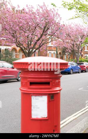 London Street fiancheggiata da fiori di ciliegio ecco una casella postale reale rossa, nella primavera dell'Inghilterra nel Regno Unito Foto Stock