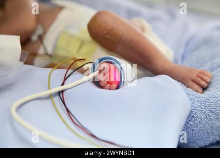 Prematuro, unità di terapia intensiva neonatale, ospedale Donostia, San Sebastian, Donostia, Gipuzkoa, paesi Baschi, Spagna. Foto Stock
