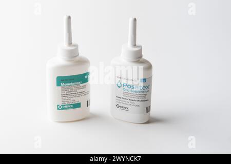 mometamax e posatex prescrizione trattamento di otite esterna nei cani per lieviti e batteri problemi fotografia Foto Stock