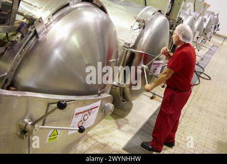 Sterilizzazione in autoclave in contenitori ermeticamente sigillati con il metodo Appert, Appertization, linea di produzione di conserve di verdure e fagioli, industria conserviera, Agri-food, Gutarra, Grupo Riberebro, Villafranca, Navarra, Spagna. Foto Stock